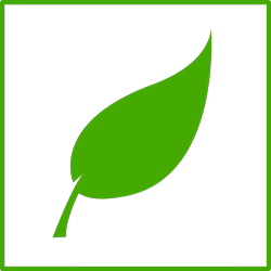 Green leaf icon
